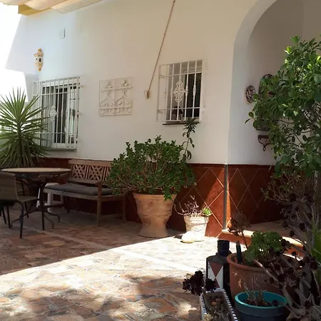 Vila Palm Tree *