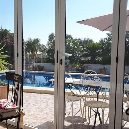 Palm Tree Vila *